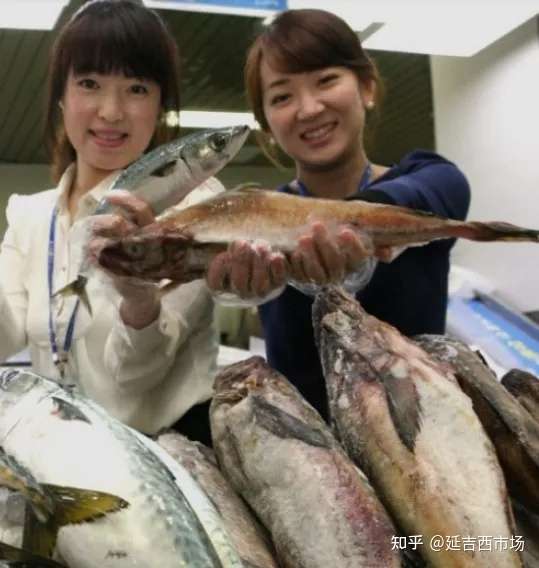 延边美食明太鱼的汇报演出 软板宣板硬板无头明太鱼明太鱼籽手撕蘸料棒鱼鱼白酱料明太鱼丝鱼眼鱼肚酱