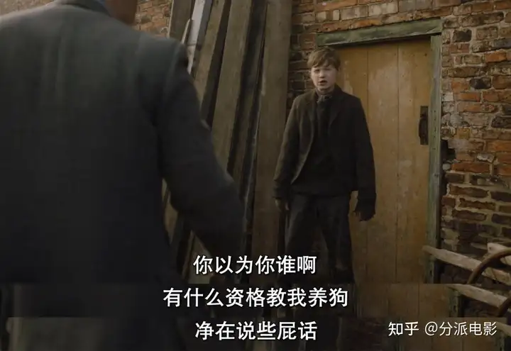 豆瓣9.6,治好我精神内耗的年度剧王《万物生灵第四季》回来了!