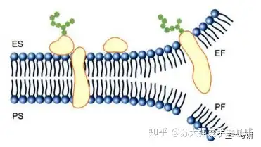 三,基本特徵