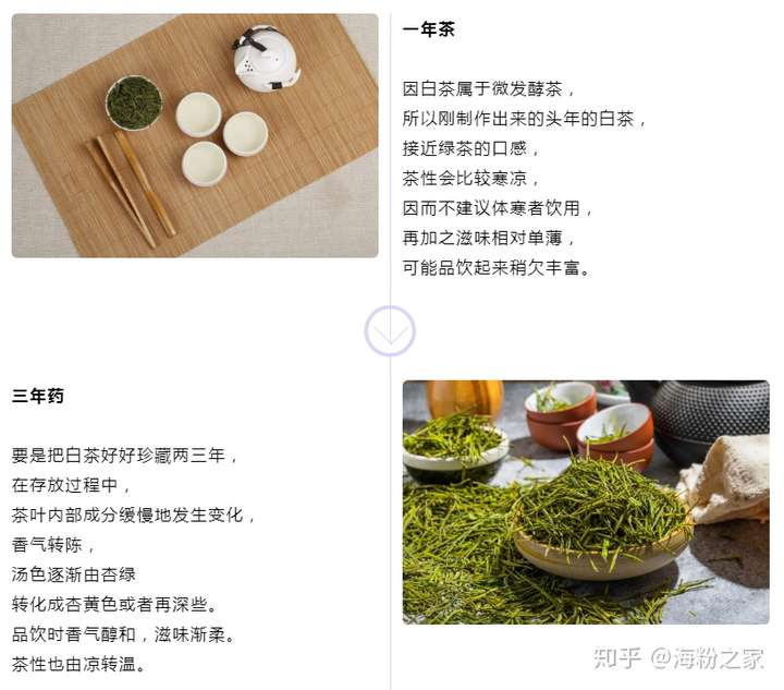 四季,品尝不同的茶,修身养性的同时,也能多了解不同茶类的知识和功效