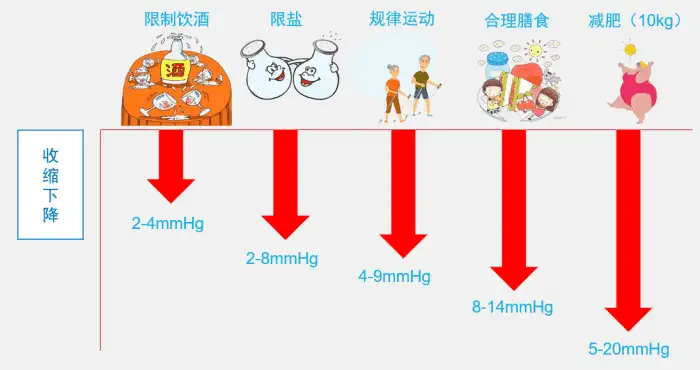 日本研究发现 减重可以明显降血压多吃亚麻籽油能减肥 知乎