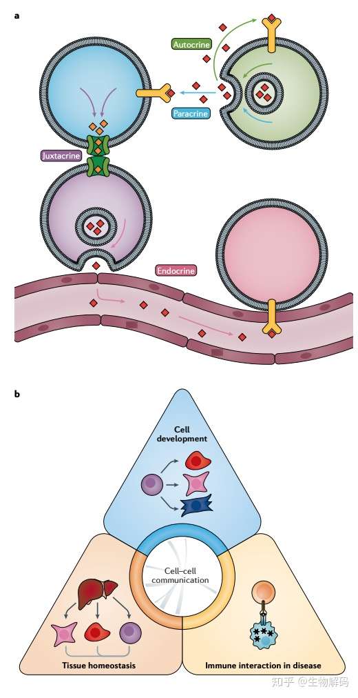 每日文摘2020年11月12日