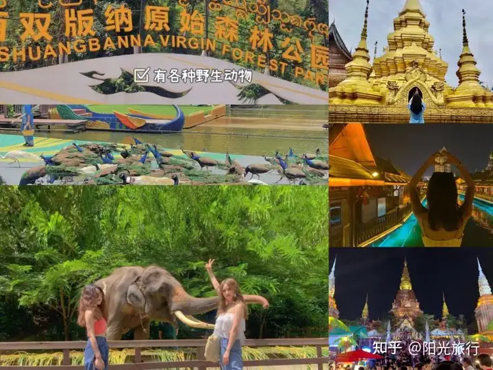 西双版纳旅游详细攻略五天四夜多少钱5天4晚费用1080（完整版攻略）