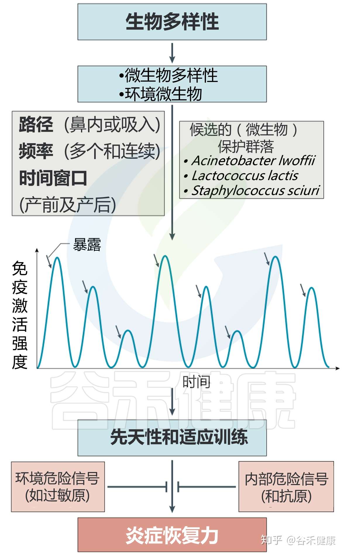 生命早期微生物接触和过敏风险 如何预防 知乎 生命早期微生物接触和过敏风险 如何预防 知乎