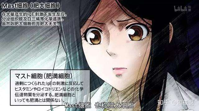 工作细胞 里的肥宅老婆 血小板当属萌王 巨噬细胞我要定了 知乎