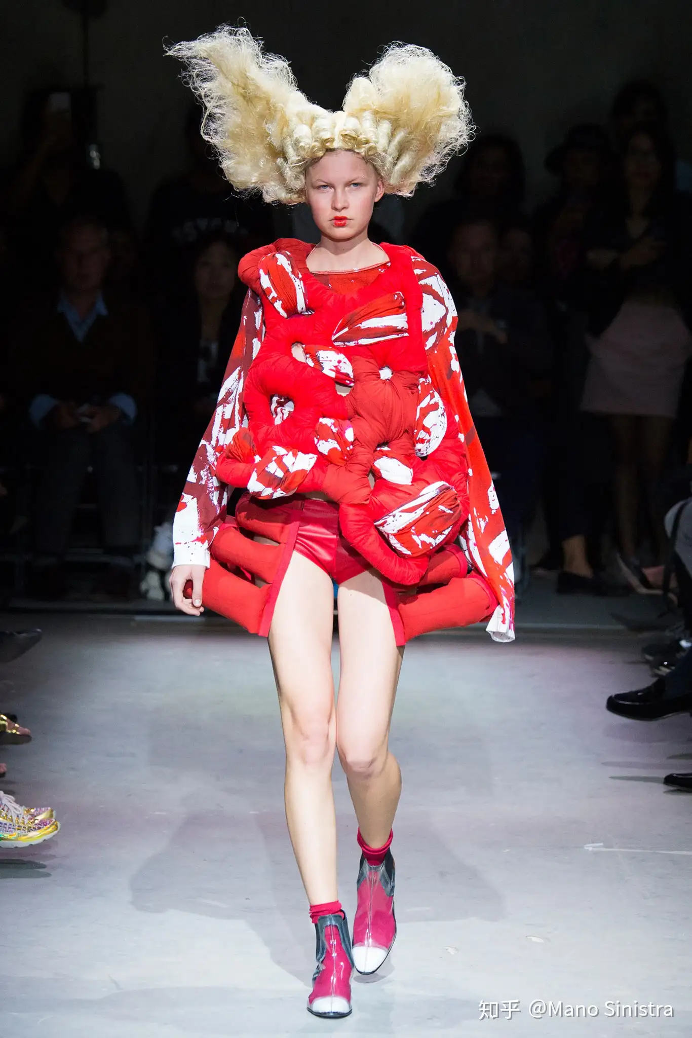 Comme des Garcons 2015 SS Roses and Blood - 知乎