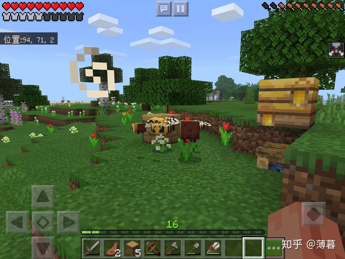 Minecraft生存指南 蜜蜂特辑 知乎 Minecraft生存指南 蜜蜂特辑 知乎