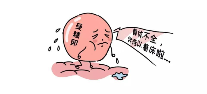 黄体功能不好,影响怀孕怎么办?插图(3) v2-ecaec64ddab4d55a390a4095edffff36_720w.png插图(3)