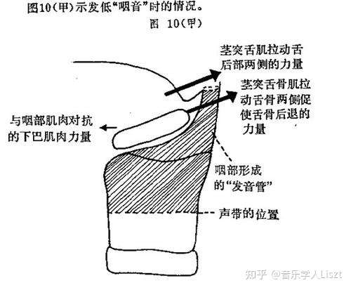 咽音中的推舌骨訓練該如何正確練習?