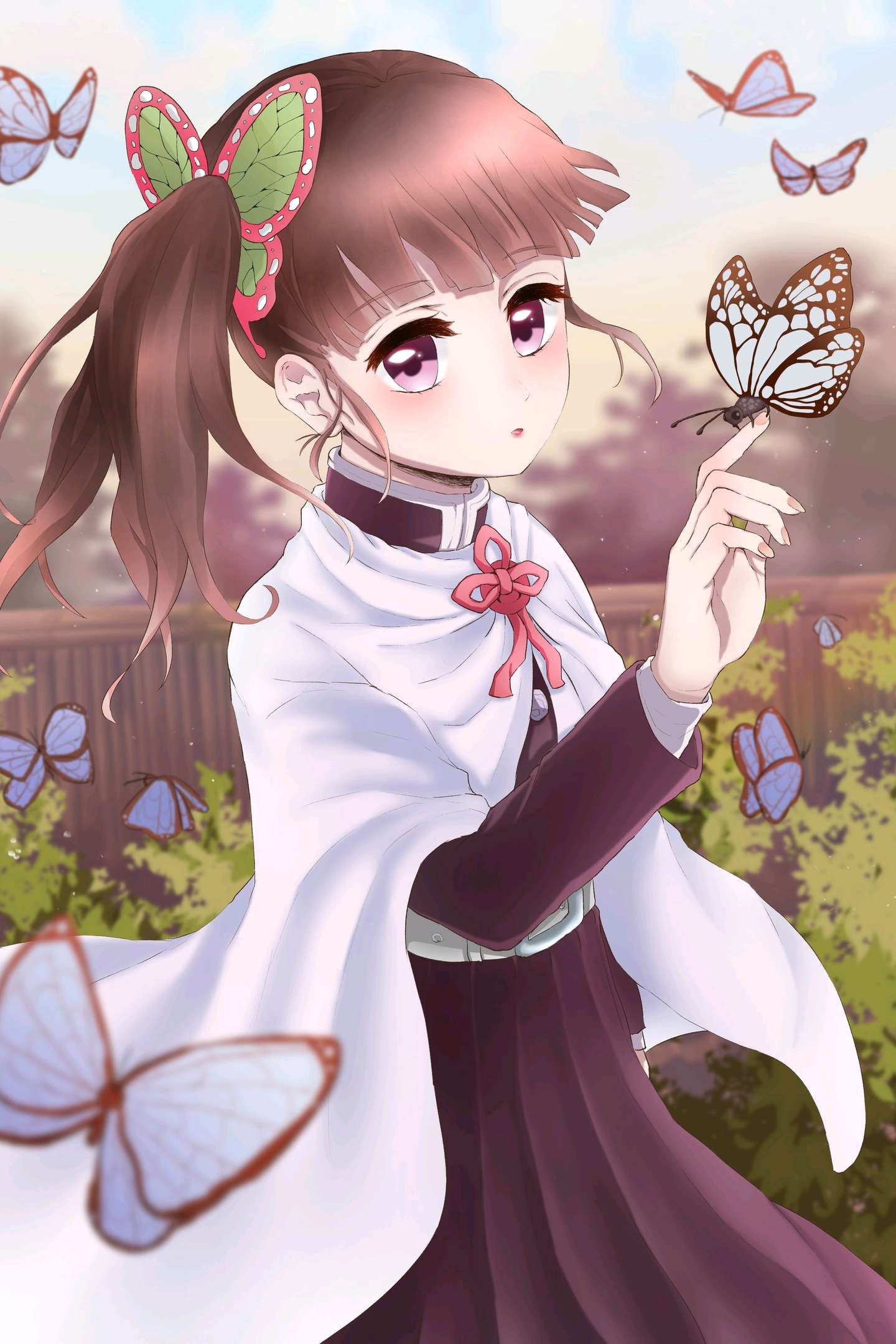 动漫壁纸 美图 鬼灭之刃第一弹蝴蝶忍 香奈惠 香奈乎 知乎