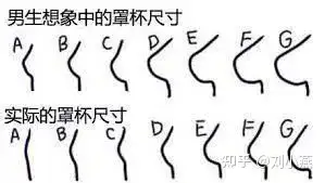 胸部大小不能只看罩杯,还得看这个地方 知乎