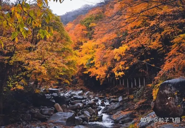 四川光雾山 光影如雾 秋色深藏