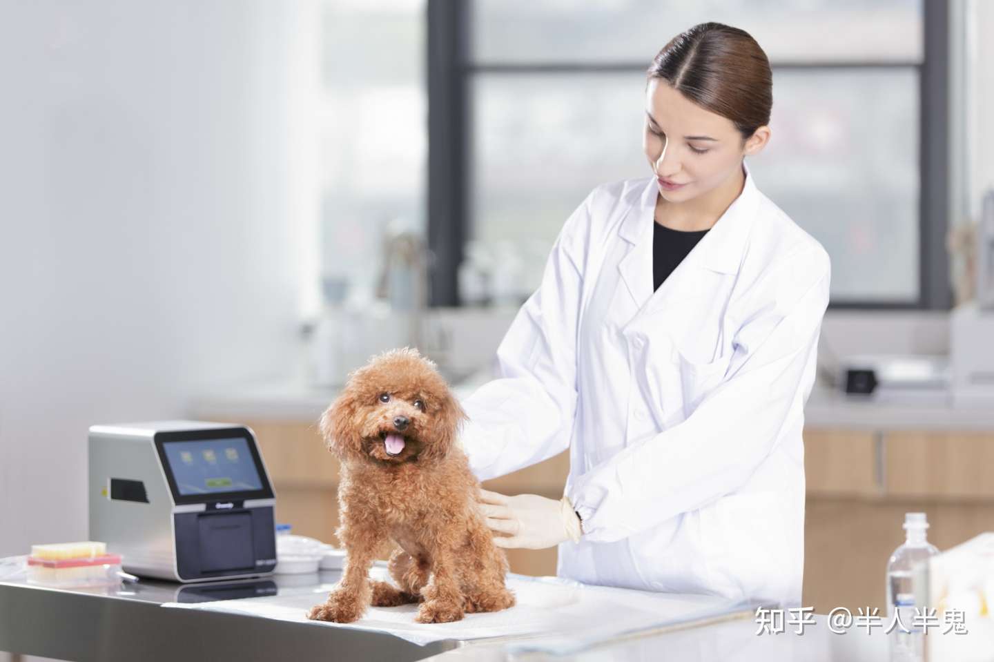 宠物泌尿道疾病如何查生化 知乎