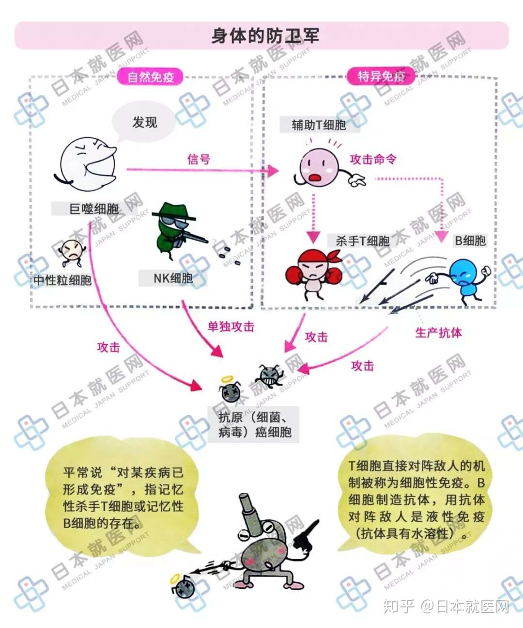 炎症解读3 免疫是机体的防御机制 知乎