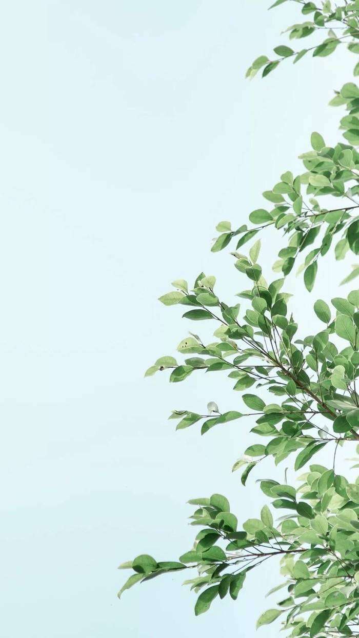 rosy求知若饥,虚心若愚