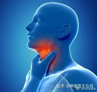 常见的食管癌患者经常表现为:吞咽食物哽咽感,胸骨后疼痛,进行性咽下