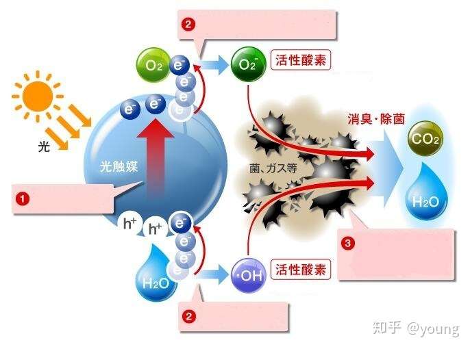 欧思嘉massc光触媒净化技术简介 知乎