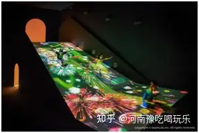 不看后悔（teamlab跨年）teamlab2020，(图12)