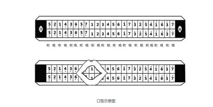 新式单音吹奏法的舌头图片