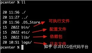JeecgBoot集成东方通TongRDS(图1)