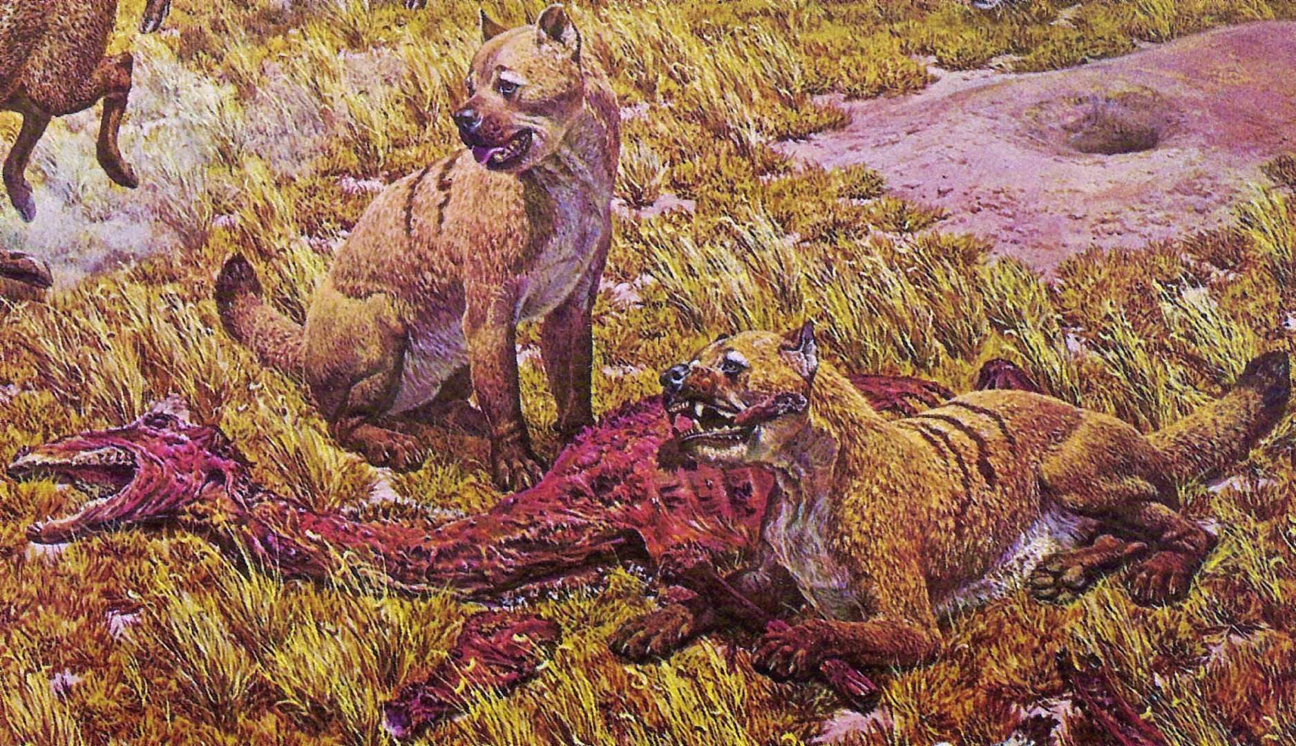 5发布于 2020-03-26 10:336735 人喜欢67分享67收藏67举报