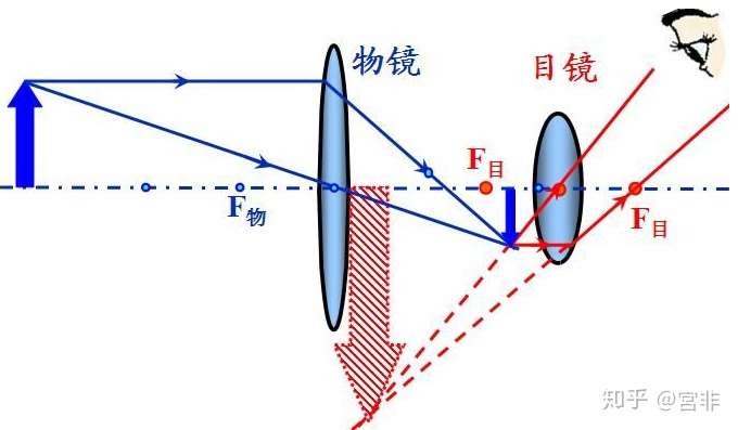 望远镜和显微镜有什么本质上的区别?