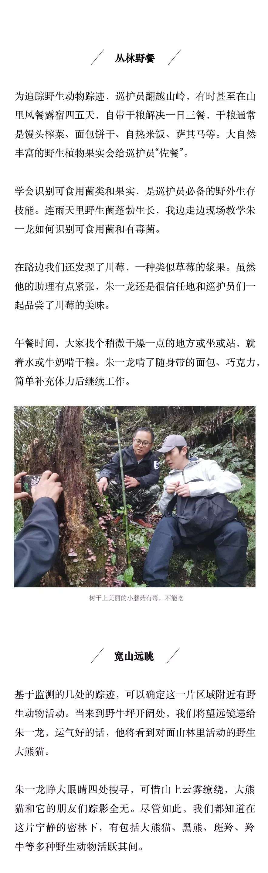 站长手记 我带朱一龙做野外监测巡护 知乎