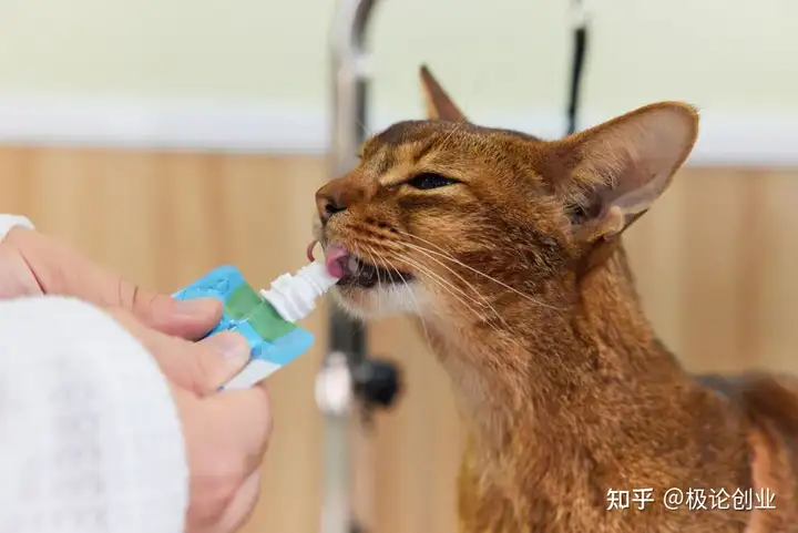 研究了十几个城市的30多个案例，我们拆解了宠物店经营的基本要素(图4)