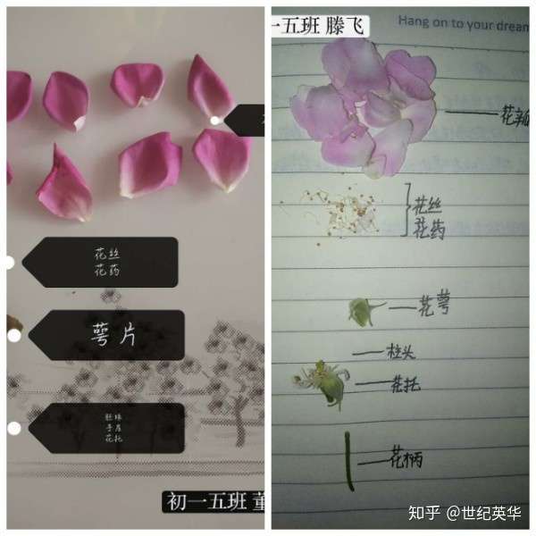 我与春天有个约会 走进春天 亲近自然 花开季节 知乎