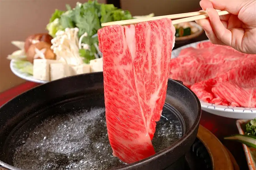 在深夜的日本街头 偶遇最性感的牛 知乎