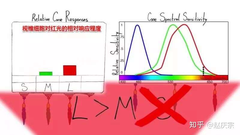 25 为什么彩虹中没有紫色 Purple 颜色 不是你想象的那样 知乎