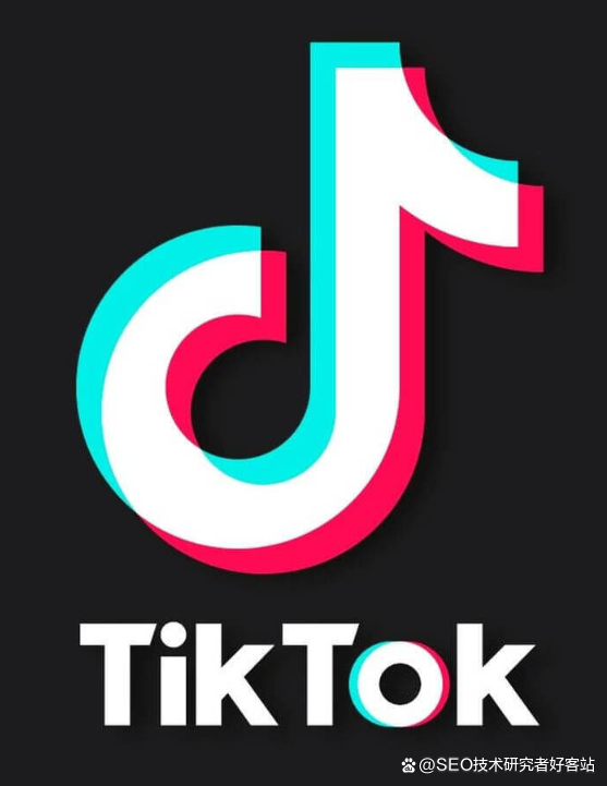海外版TikTok代运营公司