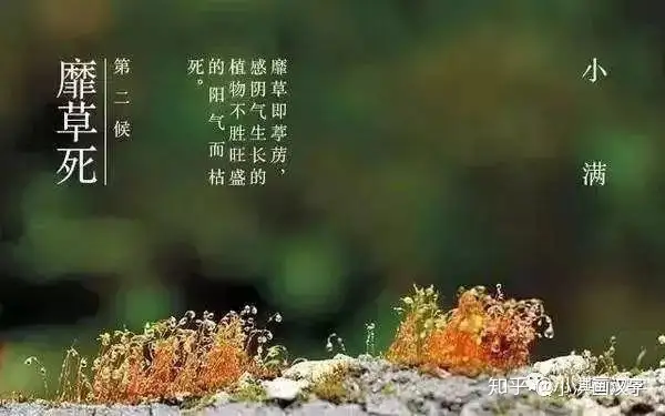 讲给孩子的二十四节气：小满