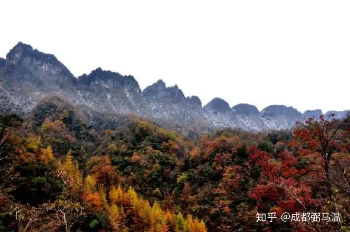 巴山蜀水｜必去的巴中之行
