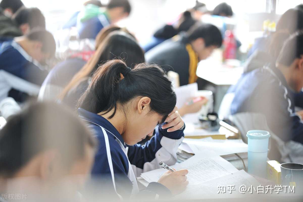 傻傻分不清 文科生 理科生分别能报哪些专业 知乎