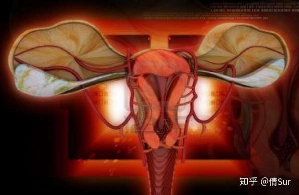 女性切除子宫后图片