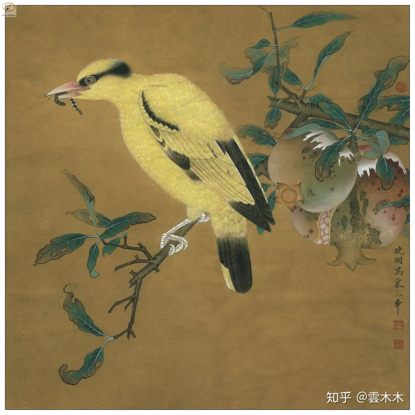 宋小品国画工笔，绘画步骤图《榴枝黄鸟图》 尺寸：35×35cm - 知乎