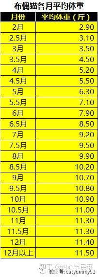 你的布偶貓多大年齡了有多重