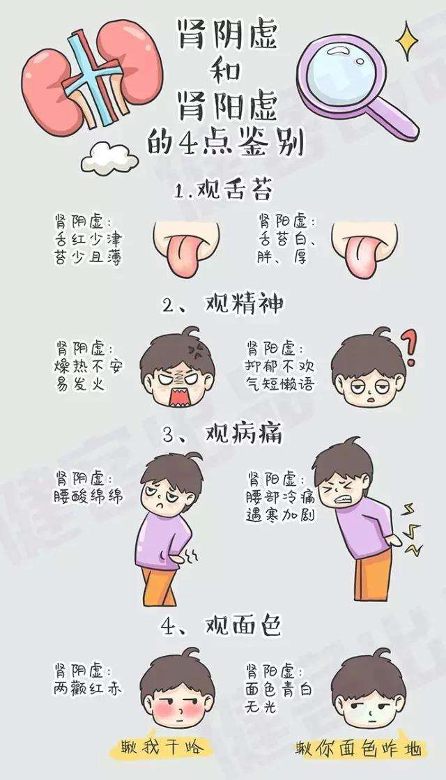 肾阴虚和肾阳虚分不清 4招教你自查 知乎