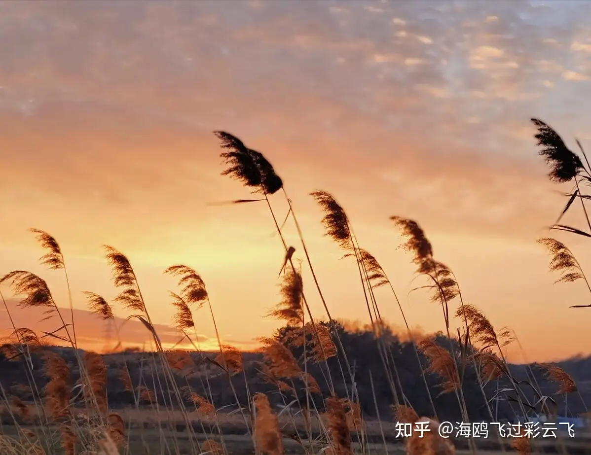 夕阳西下,断肠人在天涯- 知乎