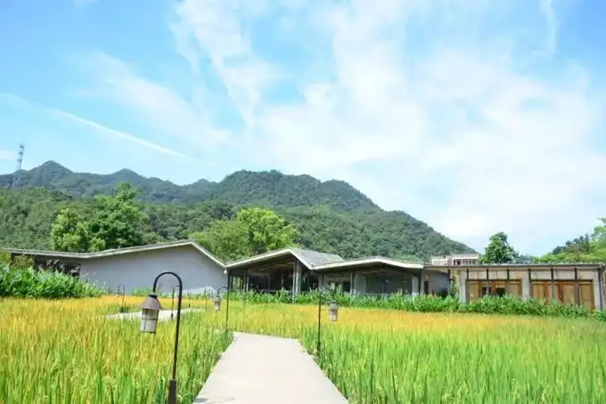精品民宿丨禾肚里——蛙声稻香荷风星月 ，一间长在稻田里的民宿