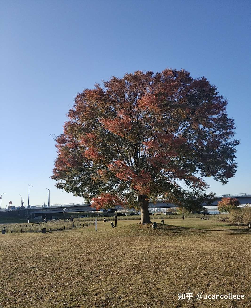 考学体验谈262 山重水复疑无路 柳暗花明又一村 知乎