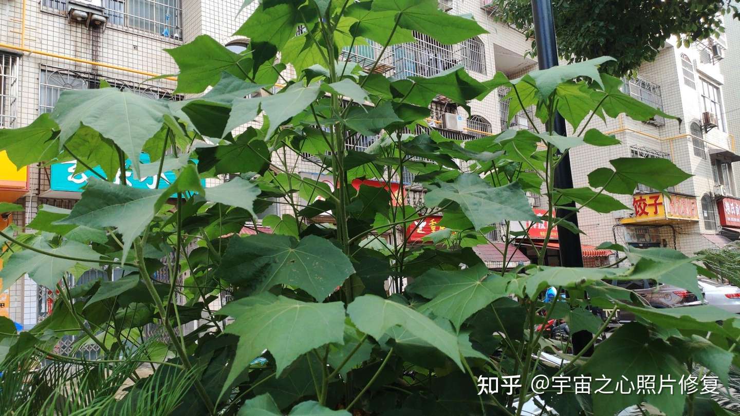 我对生命与宇宙的思考 知乎