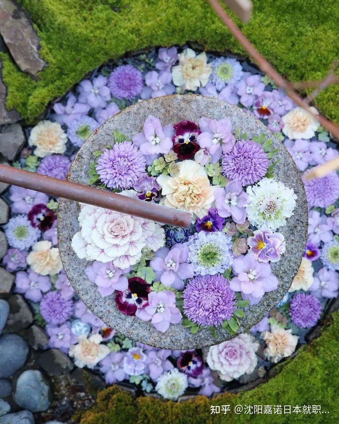 绝美 行田八幡神社的花手水 每月都有美好放映 知乎