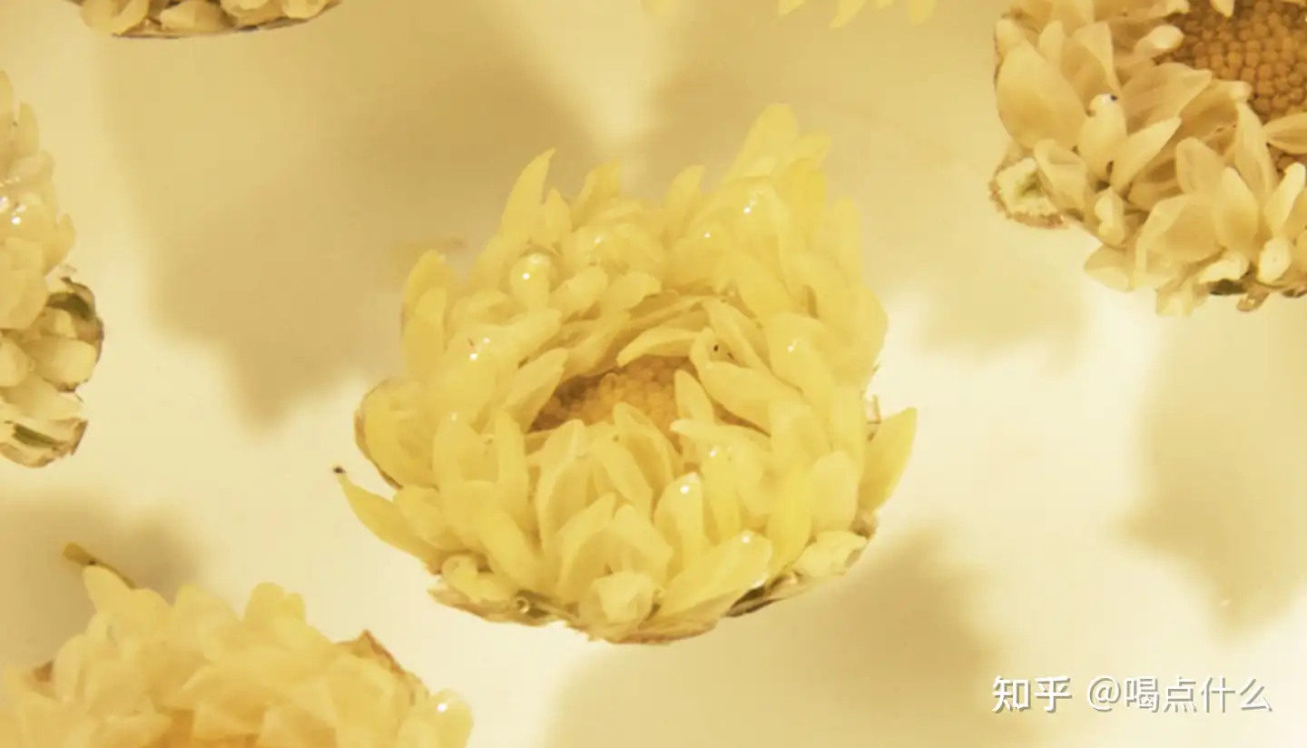 菊花茶推荐-菊花茶品牌推荐，菊花茶哪种好？黄山贡菊、杭白菊、胎菊哪种好？ - 知乎