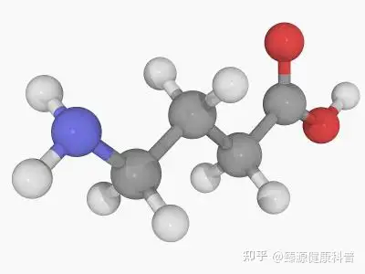 相信大多數人都不知道γ-氨基丁酸,因為它不像褪黑激素那樣出名,被