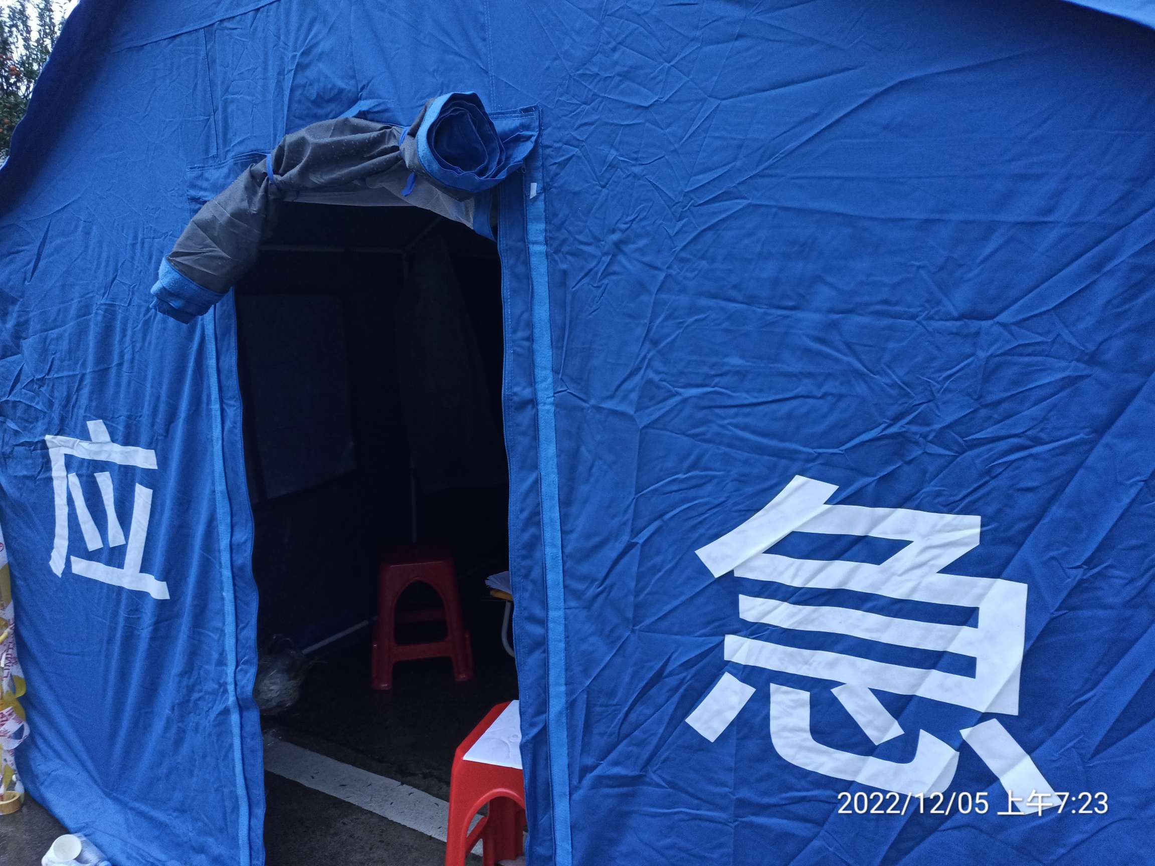  疫情是怎么来临的(疫情是怎么来临的作文)