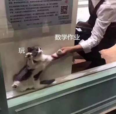 2020-2021年的网络沙雕文案句子搞笑:摩天轮就像个花圈插图17 2020-2021年的网络沙雕文案句子搞笑:摩天轮就像个花圈插图17