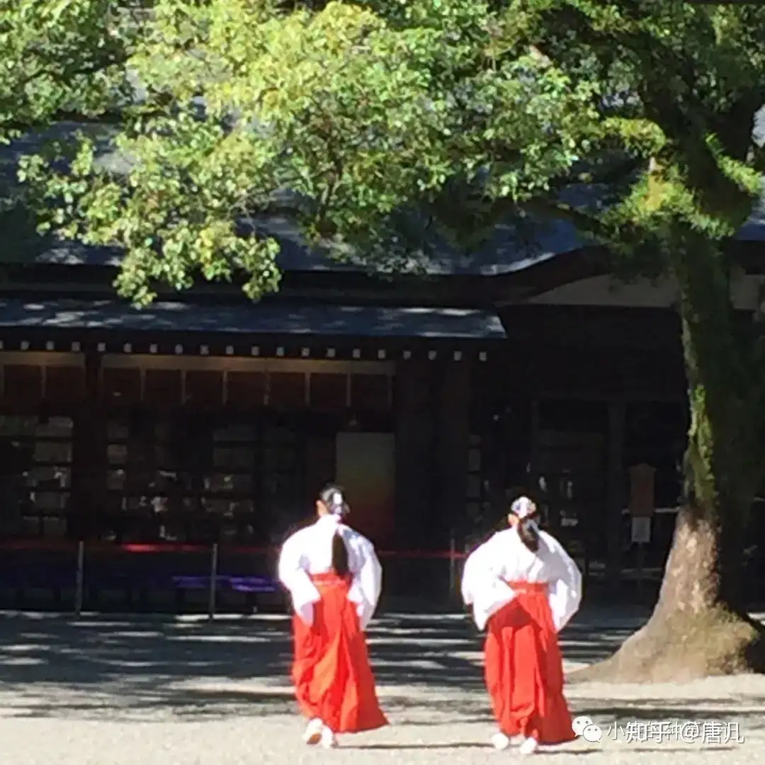 呕心沥血之作 日本名古屋 奈良八天七夜旅游攻略 游记 知乎