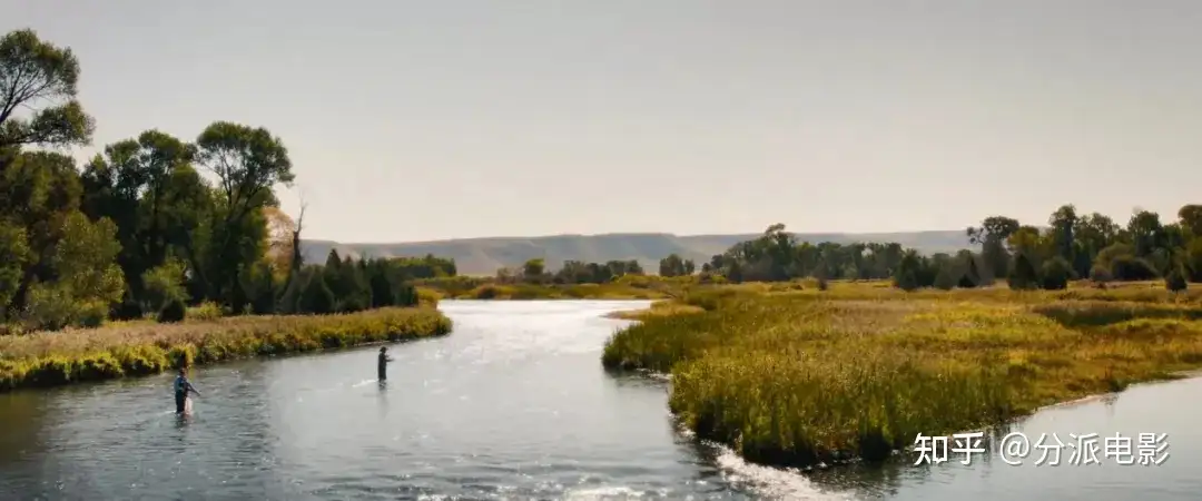 《麦迪逊河谷》豆瓣8.3！“黄石宇宙”新作来袭